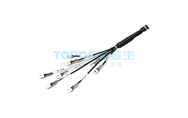 溫感/電壓采集線(xiàn)束